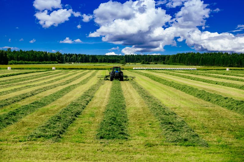 Acreage Mowing Service in Calvert County, MD
