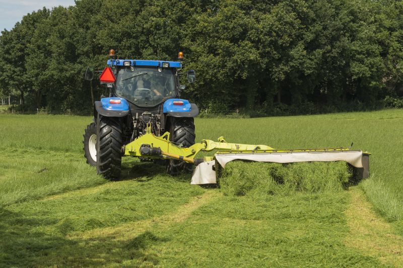 Brush Mowing Service in Duluth, MN