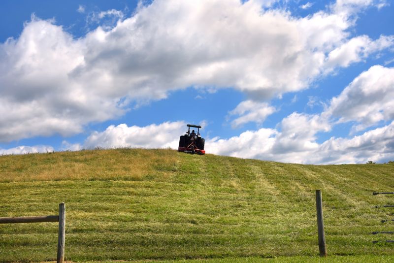 Vegetation Being Cut