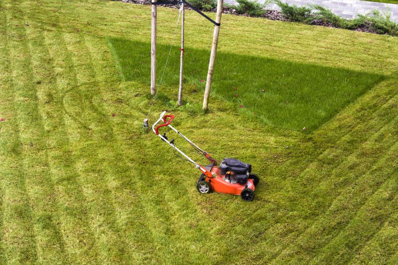 Vacant Lot Mowing in Prince Georges County, MD