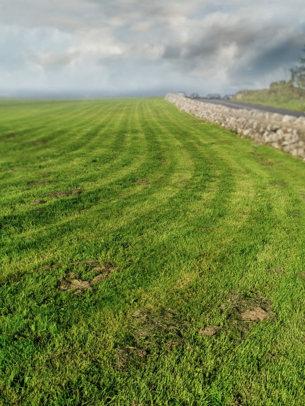 Pasture Mowing in Waldorf, MD
