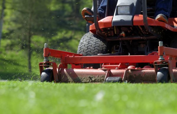 Brush Mowing